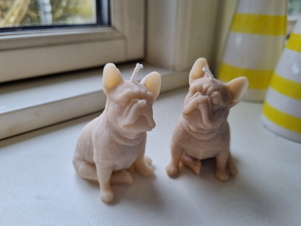 Fransk bulldog rapsvokslys