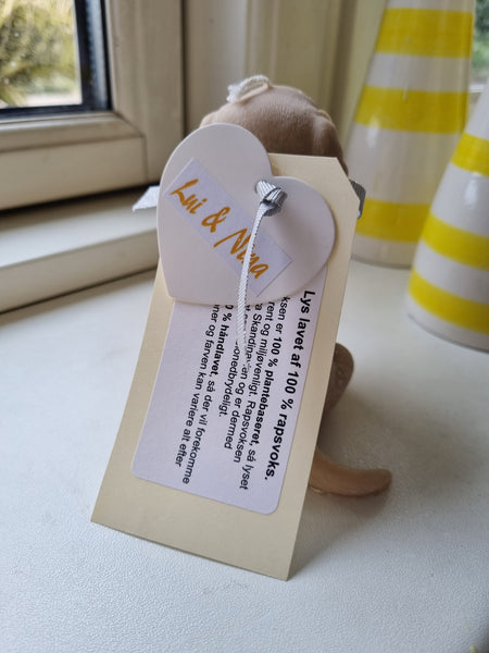 Sød labrador rapsvokslys