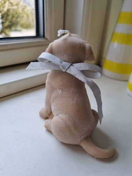 Sød labrador rapsvokslys