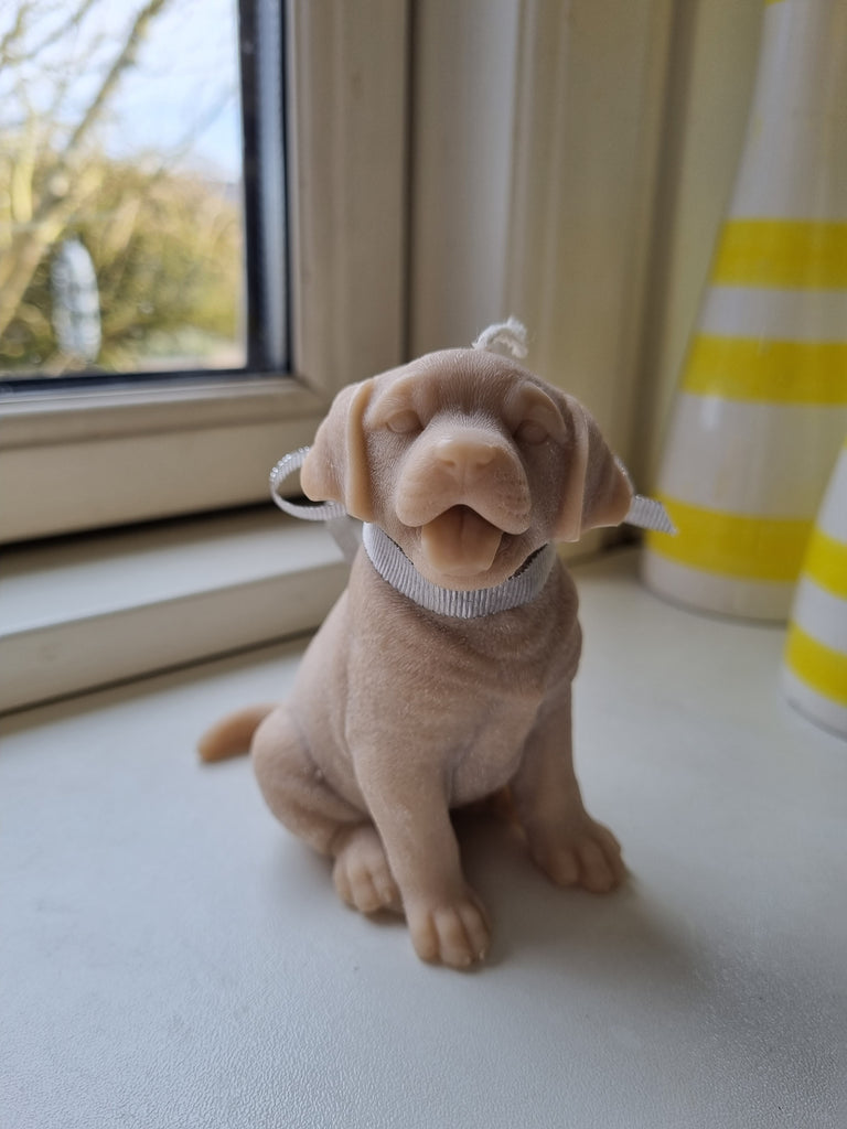 Sød labrador rapsvokslys