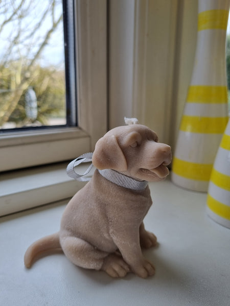 Sød labrador rapsvokslys
