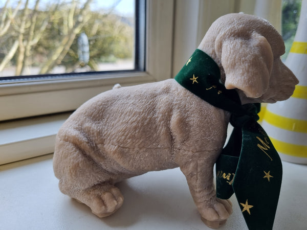 Ekstra stor gravhund rapsvokslys