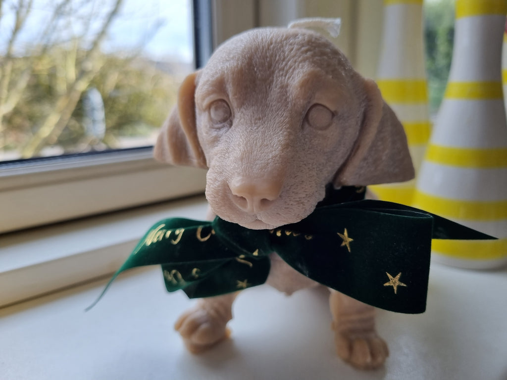 Ekstra stor gravhund rapsvokslys