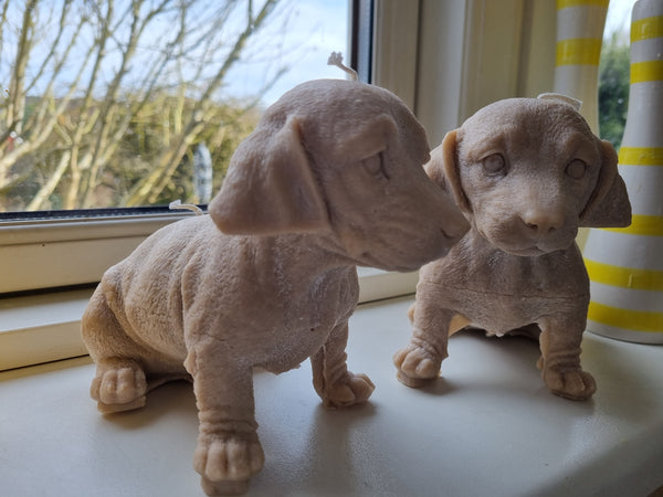 Ekstra stor gravhund rapsvokslys